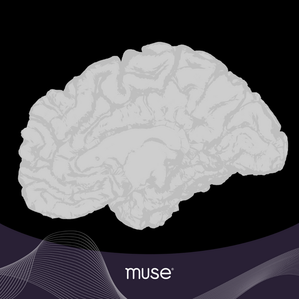 Unlocking Your Brain: White Matter VS Grey Matter