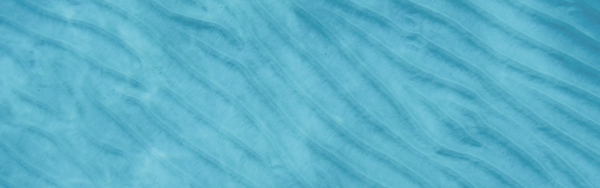 Foundations of Mindfulness: Beginner's Mind