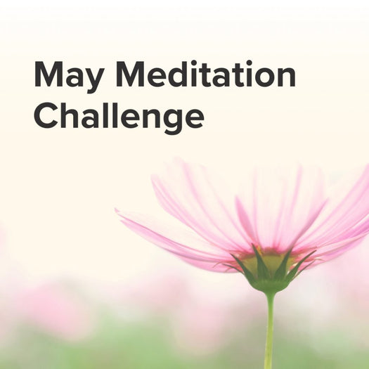 May Meditation Challenge text over a soft-focus pink daisy with a blurred garden background