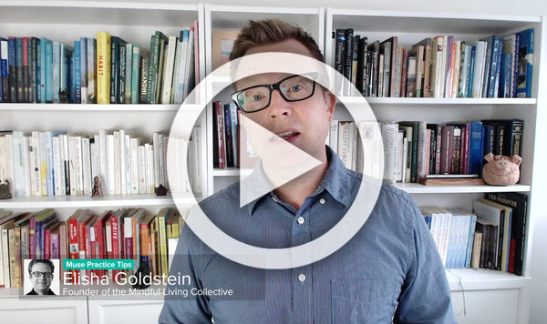 Elisha Goldstein on Focusing Your Energy