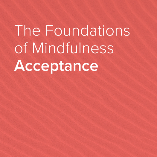 Coral cover graphic with the words 'The Foundations of Mindfulness Acceptance'.