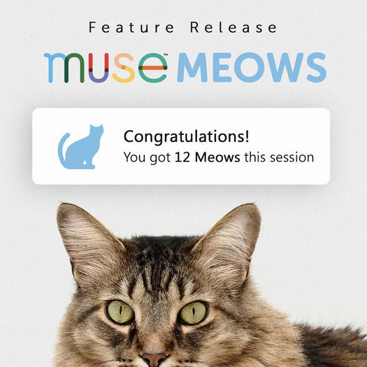 Feature Release muse MEOWS banner with tabby cat. Congratulations! You got 12 Meows this session