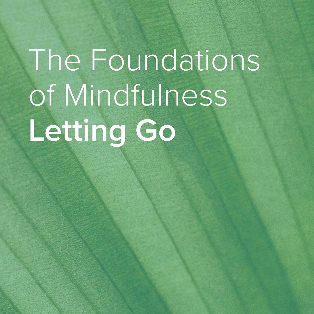 Cover text: The Foundations of Mindfulness Letting Go — white text over a close-up green leaf background