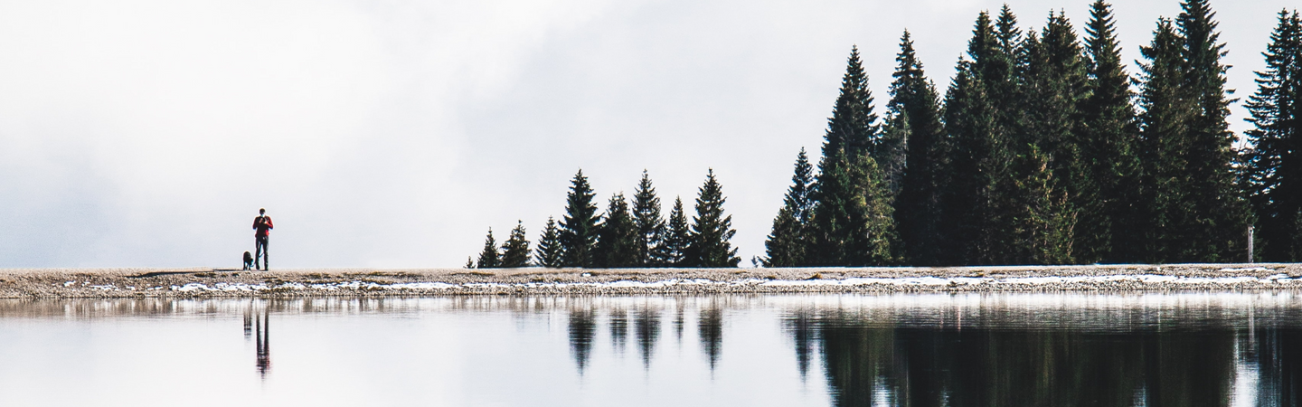 Person standing on snowy lakeshore reflected in still water with evergreen trees and cloudy sky - calm, meditative landscape.