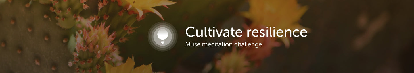 Cultivate resilience — Muse meditation challenge over soft-focus succulent background