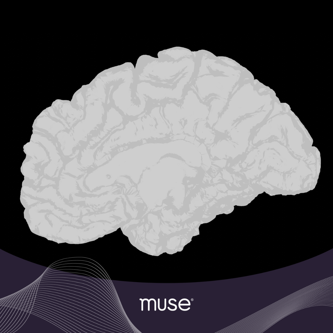 Unlocking Your Brain: White Matter VS Grey Matter