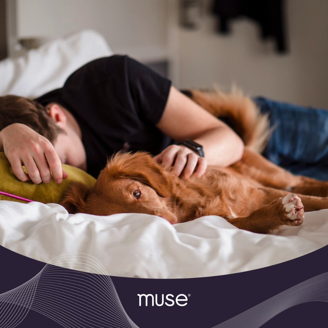 Could a Biphasic Sleep Schedule Benefit You?