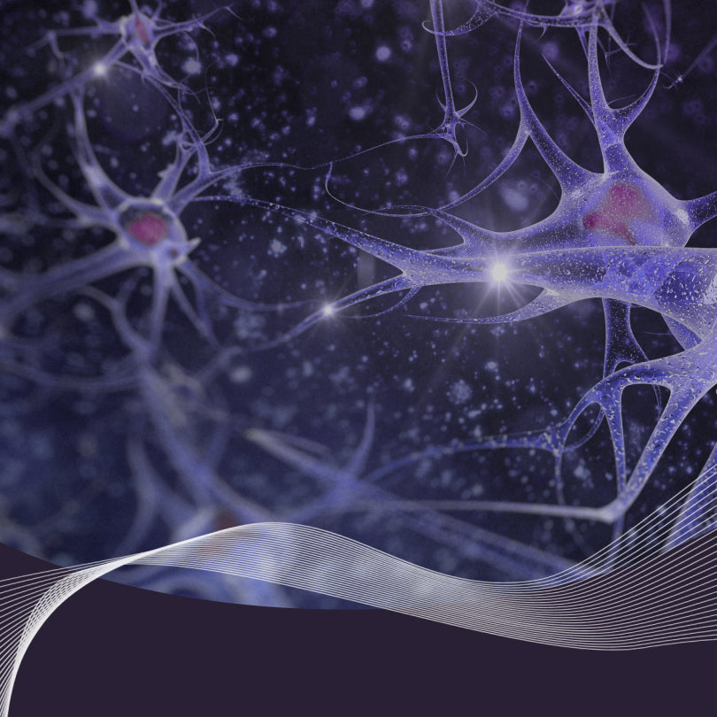 Rewiring your brain: How neuroplasticity shapes our habits and health