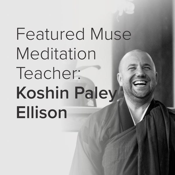 Featured Muse Meditation Teacher:  Koshin Paley Ellison