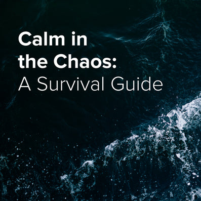 Calm in the Chaos: A Survival Guide to Relieve Stress