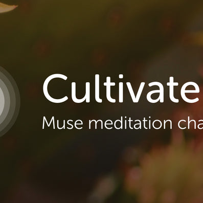 The Meditation Challenge Contest Terms and Conditions: 