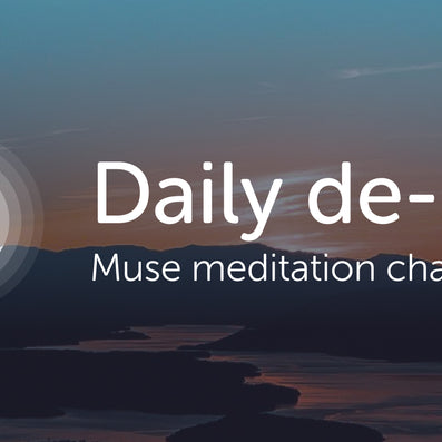 The Meditation Challenge Contest Terms and Conditions: 